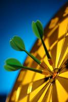 Nos prestations sur le secteur de Bouc-Bel-Air dans les Bouches-du-Rhône 13320